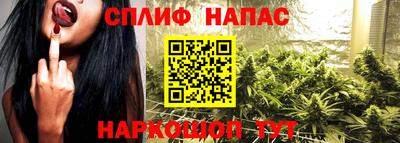 кокс Донской