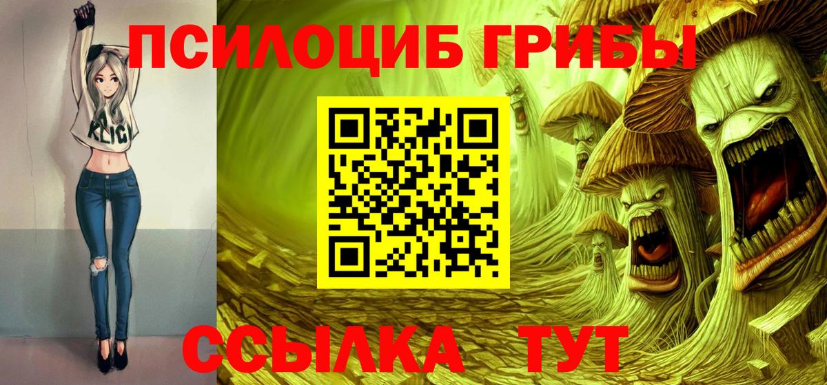 Псилоцибиновые грибы Psilocybine cubensis Калининград