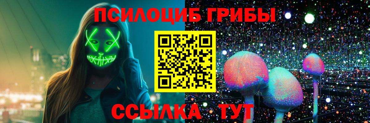 закладка  Псилоцибиновые грибы Psilocybine cubensis  Калининград  Вход с VPN  Псилоцибиновые грибы MAGIC MUSHROOMS 